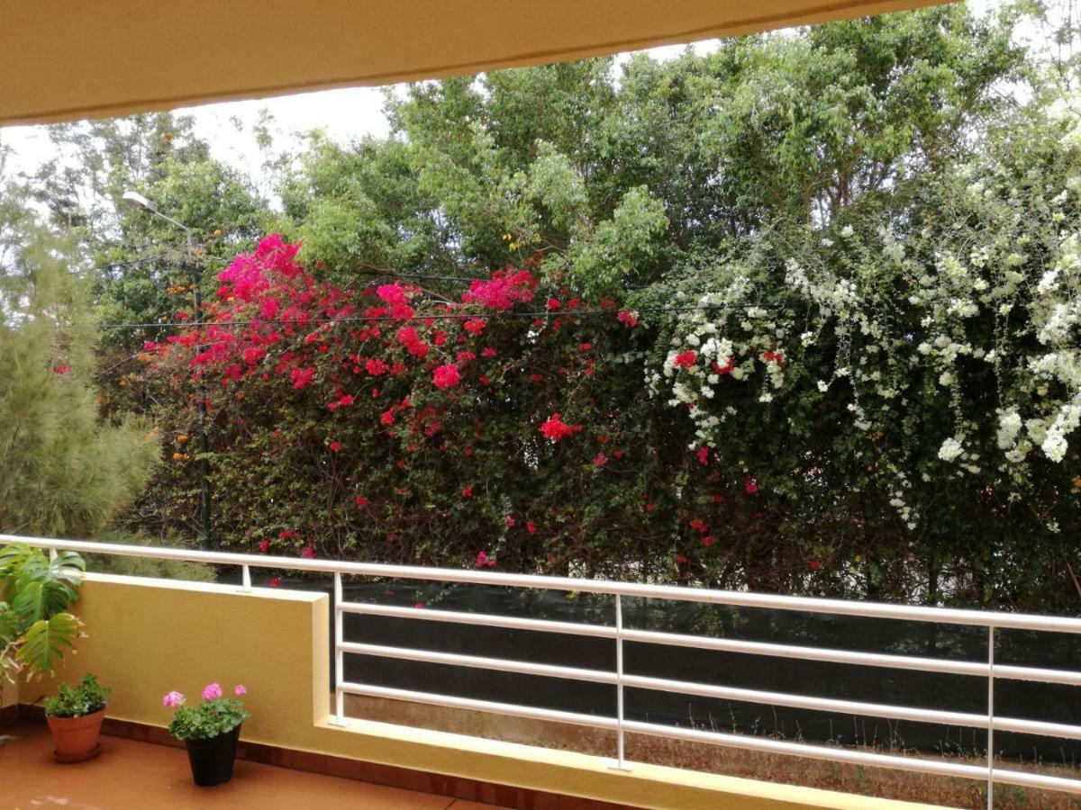 Refugio Madeira Apartment Canico  Luaran gambar